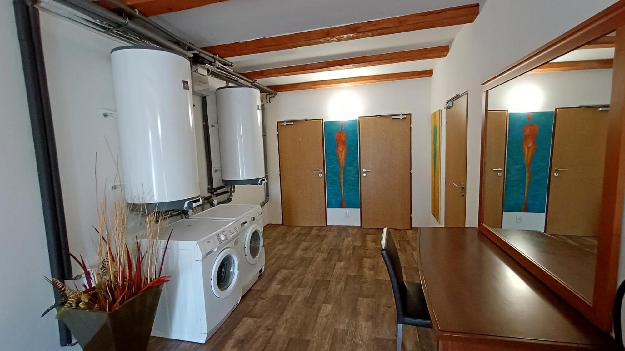 Apartments Gato Karlovy Vary Dalovice Екстериор снимка