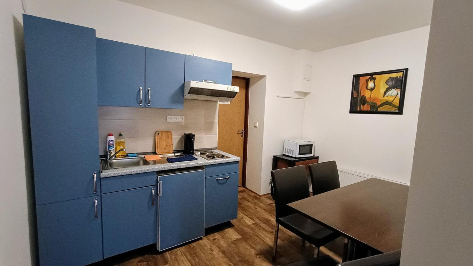 Apartments Gato Karlovy Vary Dalovice Екстериор снимка